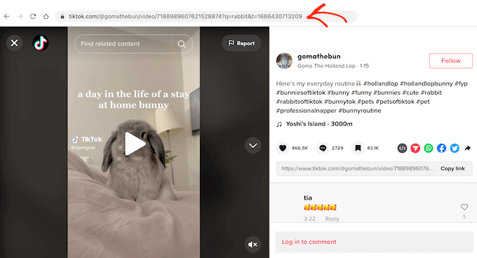 使用 WordPress 块编辑器将 TikTok 视频添加到页面或帖子 使用 WordPress 块编辑器将 TikTok 视频添加到页面或帖子