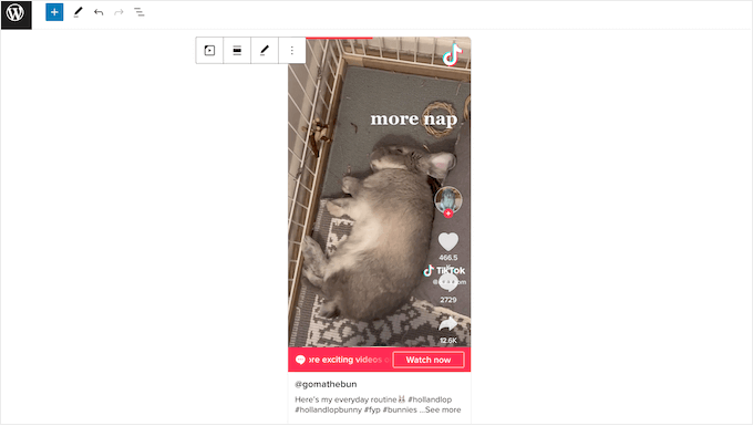 在 WordPress 博客或网站上嵌入 TikTok 视频 在 WordPress 博客或网站上嵌入 TikTok 视频