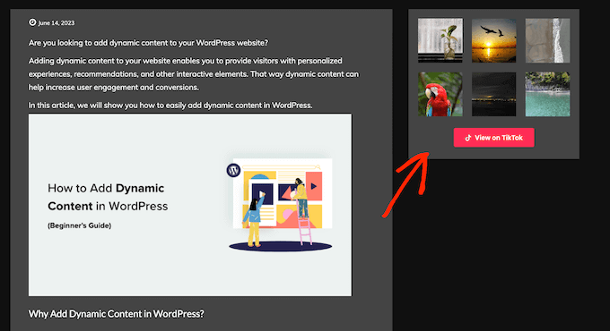 WordPress 网站上嵌入 TikTok 源的示例 WordPress 网站上嵌入 TikTok 源的示例