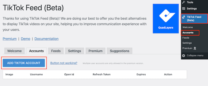 将 TikTok 连接到您的 WordPress 网站或博客 将 TikTok 连接到您的 WordPress 网站或博客