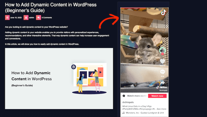 嵌入 WordPress 网站的 TikTok 视频示例 嵌入 WordPress 网站的 TikTok 视频示例