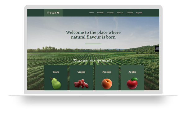 外贸绿色食品生物英文网站建设