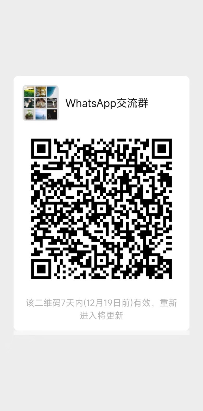 whatsapp交流群